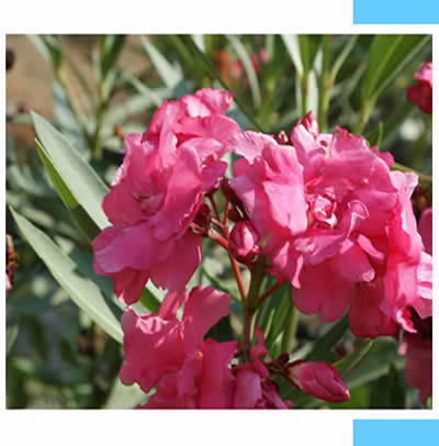 Book your holiday in Algarve Book your holiday in Algarve